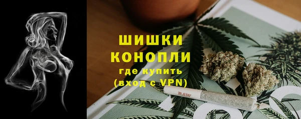 стафф Армянск