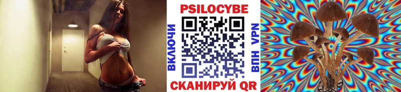 магазин    мориарти формула  Псилоцибиновые грибы мухоморы  Кандалакша 