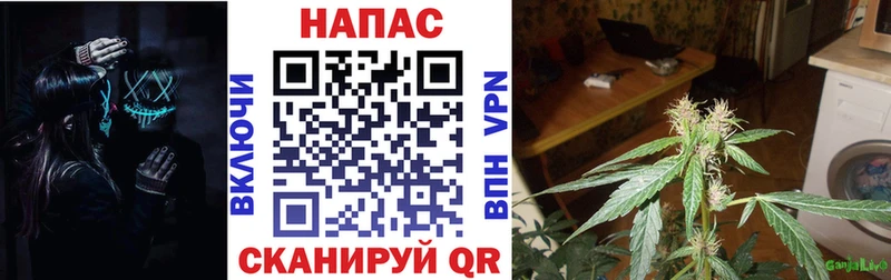 цена   Кандалакша  МАРИХУАНА индика 